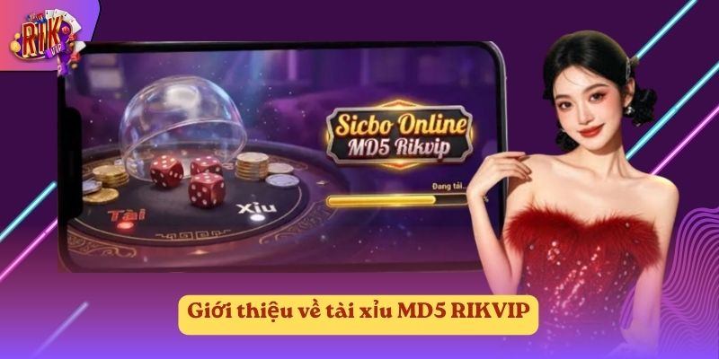 Giới thiệu về tài xỉu MD5 RIKVIP