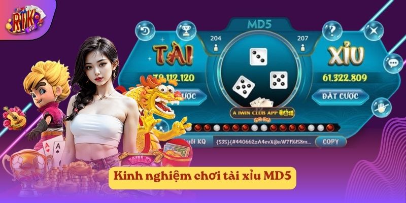 Kinh nghiệm chơi tài xỉu MD5