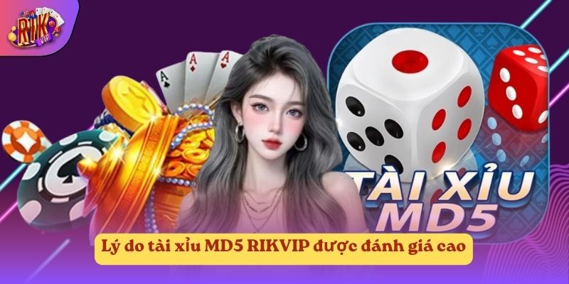 Lý do tài xỉu MD5 RIKVIP được đánh giá cao